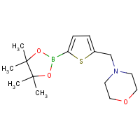 CAS: 950603-39-1 | OR303427 | 4-{[5-(Tetramethyl-1,3,2-dioxaborolan-2-yl)thiophen-2-yl]methyl}morpholine