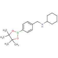 CAS: | OR303455 | 4-(Cyclohexyl)aminomethyl phenyl boronic acid pinacol ester