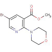 CAS: 1017782-99-8 | OR303716 | Methyl 5-bromo-2-morpholinonicotinate