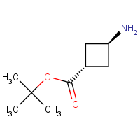 CAS:1192547-86-6 | OR304347 | tert-Butyl trans-3-aminocyclobutane-1-carboxylate