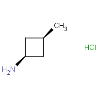 CAS: 1093951-55-3 | OR304367 | cis-3-Methylcyclobutan-1-amine hydrochloride