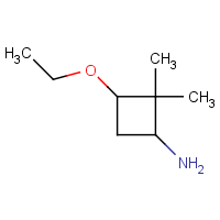 CAS: 1333759-16-2 | OR304381 | 3-Ethoxy-2,2-dimethylcyclobutan-1-amine