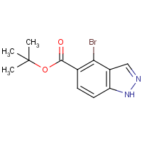 CAS: 1203662-37-6 | OR305101 | tert-Butyl 4-bromo-1H-indazole-5-carboxylate