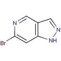 CAS: 1206973-12-7 | OR305335 | 6-Bromo-1H-pyrazolo[4,3-c]pyridine