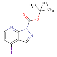 CAS: 945599-35-9 | OR305340 | tert-Butyl 4-iodo-1H-pyrazolo[3,4-b]pyridine-1-carboxylate