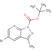 CAS:916258-24-7 | OR305390 | tert-Butyl 5-bromo-3-methyl-1H-pyrazolo[3,4-b]pyridine-1-carboxylate