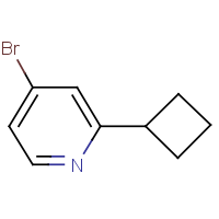 CAS: 1142194-11-3 | OR305557 | 4-Bromo-2-cyclobutylpyridine