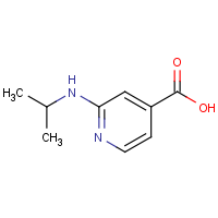 CAS: 77314-51-3 | OR305592 | 2-(Propan-2-ylamino)isonicotinic acid