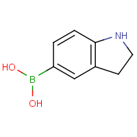 CAS:935853-24-0 | OR305603 | 2,3-Dihydro-1H-indol-5-ylboronic acid