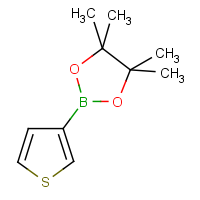 CAS: 214360-70-0 | OR30612 | Thiophene-3-boronic acid, pinacol ester
