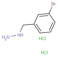 CAS:  | OR306141 | 1-(3-Bromobenzyl)hydrazine dihydrochloride