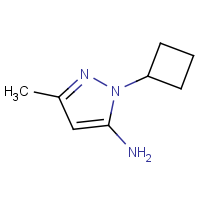 CAS: | OR306150 | 1-Cyclobutyl-3-methyl-1H-pyrazol-5-amine
