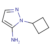 CAS: 497947-61-2 | OR306158 | 1-Cyclobutyl-1H-pyrazol-5-amine
