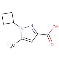 CAS: | OR306185 | 1-Cyclobutyl-5-methyl-1H-pyrazole-3-carboxylic acid