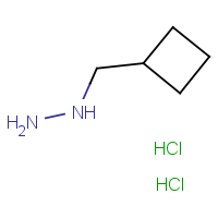 CAS:  | OR306203 | (Cyclobutylmethyl)hydrazine dihydrochloride