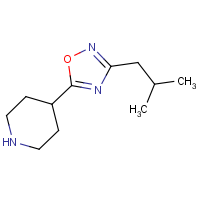 CAS: 1042499-82-0 | OR306481 | 4-[3-(2-Methylpropyl)-1,2,4-oxadiazol-5-yl]piperidine