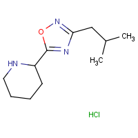 CAS:  | OR306482 | 2-[3-(2-Methylpropyl)-1,2,4-oxadiazol-5-yl]piperidine hydrochloride
