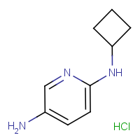 CAS:  | OR306503 | N2-Cyclobutylpyridine-2,5-diamine hydrochloride