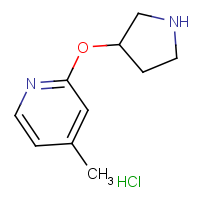 CAS: 1420994-15-5 | OR306575 | 4-Methyl-2-(pyrrolidin-3-yloxy)pyridine hydrochloride