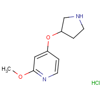 CAS:  | OR306576 | 2-Methoxy-4-(pyrrolidin-3-yloxy)pyridine hydrochloride