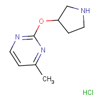 CAS: 1420986-29-3 | OR306577 | 4-Methyl-2-(pyrrolidin-3-yloxy)pyrimidine hydrochloride