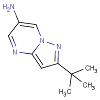 CAS:  | OR306602 | 2-tert-Butylpyrazolo[1,5-a]pyrimidin-6-amine