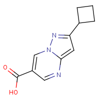 CAS: | OR306614 | 2-Cyclobutylpyrazolo[1,5-a]pyrimidine-6-carboxylic acid