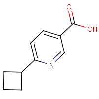 CAS:1228112-80-8 | OR306622 | 6-Cyclobutylnicotinic acid