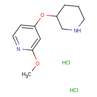 CAS:  | OR306625 | 2-Methoxy-4-(piperidin-3-yloxy)pyridine dihydrochloride