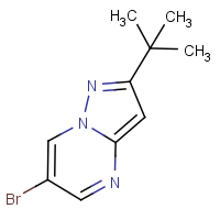 CAS:916256-69-4 | OR306631 | 6-Bromo-2-tert-butylpyrazolo[1,5-a]pyrimidine