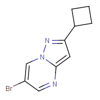 CAS: | OR306632 | 6-Bromo-2-cyclobutylpyrazolo[1,5-a]pyrimidine