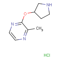CAS:1420853-10-6 | OR306654 | 2-Methyl-3-(pyrrolidin-3-yloxy)pyrazine hydrochloride