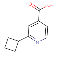 CAS: 1369158-34-8 | OR306662 | 2-Cyclobutylisonicotinic acid