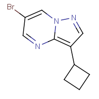 CAS: | OR306669 | 6-Bromo-3-cyclobutylpyrazolo[1,5-a]pyrimidine