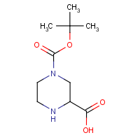 CAS: 128019-59-0 | OR307034 | N4-Boc-piperazine-2-carboxylic acid