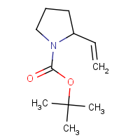CAS:176324-60-0 | OR307047 | 2-Vinylpyrrolidine, N-BOC protected