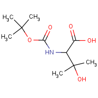 CAS: 105504-72-1 | OR307091 | N-Boc-(+-)-2-amino-3-hydroxy-3-methylbutanoic acid