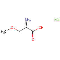 CAS:336100-47-1 | OR307094 | (S)-2-Amino-3-methoxy-propionic acid hydrochloride