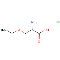 CAS:4775-82-0 | OR307096 | (S)-2-Amino-3-ethoxy-propionic acid hydrochloride