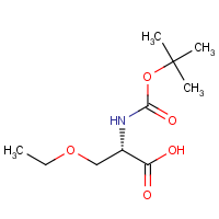 CAS:104839-00-1 | OR307097 | (S)-N-Boc-2-amino-3-ethoxy-propionic acid