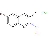 CAS:1172069-28-1 | OR307524 | 6-Bromo-2-hydrazino-3-methylquinoline hydrochloride