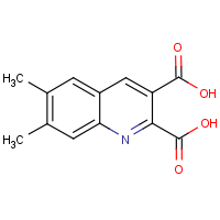 CAS: 948294-45-9 | OR307997 | 6,7-Dimethylquinoline-2,3-dicarboxylic acid