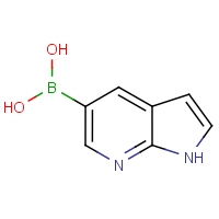 CAS: 944059-24-9 | OR308041 | 1H-Pyrrolo[2,3-b]pyridin-5-ylboronic acid