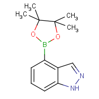 CAS:885618-33-7 | OR308052 | 4-(4,4,5,5-Tetramethyl-1,3,2-dioxaborolan-2-yl)-1H-indazole