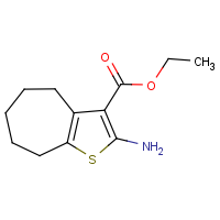 CAS:40106-13-6 | OR308194 | 2-Amino-5,6,7,8-tetrahydro-4H-cyclohepta[b]thiophene-3-carboxylic acid ethyl ester