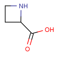CAS:2517-04-6 | OR309022 | Azetidine-2-carboxylic acid