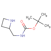 CAS: 99724-21-7 | OR309041 | Azetidin-2-ylmethyl-carbamic acid tert-butyl ester