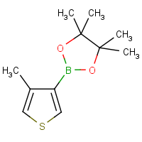 CAS:476620-20-9 | OR310162 | 4-Methylthiophene-3-boronic acid pinacol ester