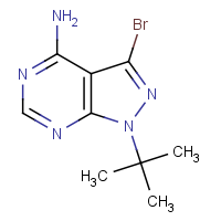 CAS: 862728-61-8 | OR310170 | 4-Amino-3-bromo-1-(tert-butyl)-1H-pyrazolo[3,4-d]pyrimidine