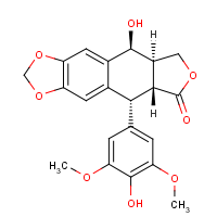 CAS: 6559-91-7 | OR3101T | 4'-Demethylepipodophyllotoxin